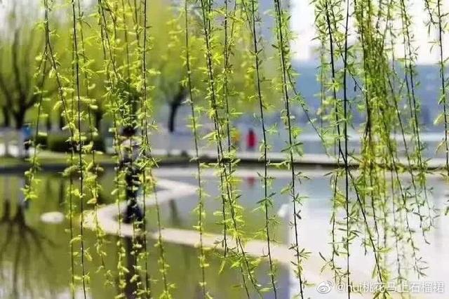 小城谣歌词表达什么，音乐分享：《小城谣》胡碧乔