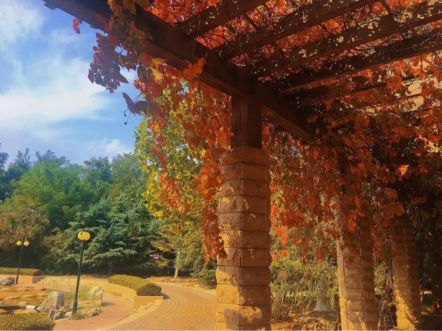 南开大学滨海学院是几本，南开大学滨海学院排名多少是几本（<一>南开大学滨海学院）