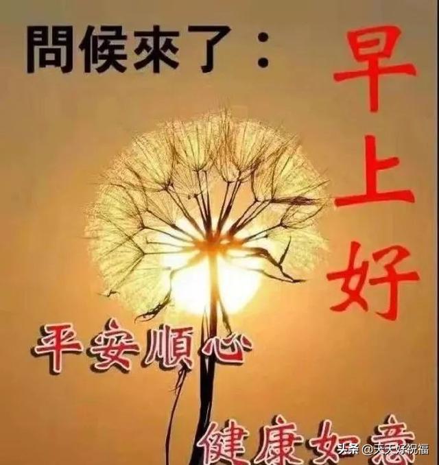 每日早安问候语，早安问候语暖心一句话（每日清晨最新早安问候语简短一句话致大家）