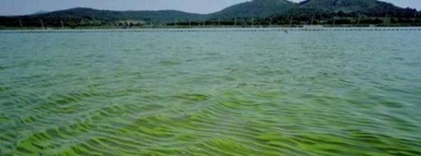 历史上第一次冰河时期是什么时候，冰河时期是哪一年（地球发生过3次大冰期）