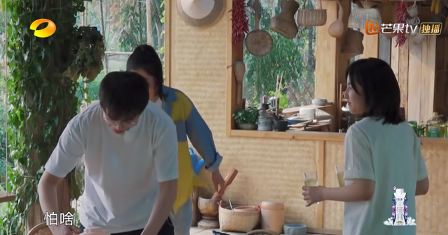 向往的生活开局推到张子枫，张子枫是谁推荐到向往的生活（《向往的生活4》张子枫被疑社恐）