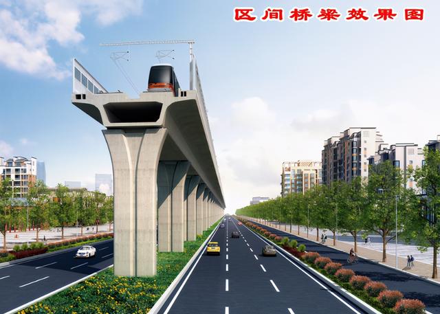 海桐小毛球多少钱一棵，海桐球1.2米的价格（宁马城际铁路再传新进展）