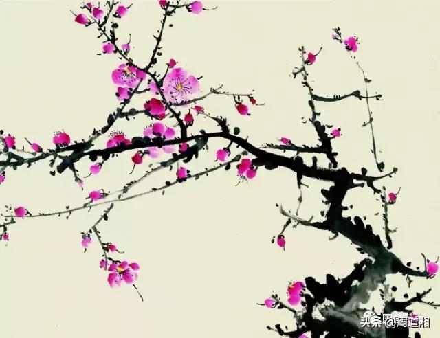梅花13怎么手绘画，教梅花13怎么画（国画入门教程——梅花的画法）