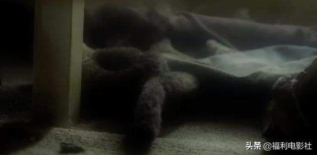 都挺好一共多少集，都挺好多了多少集（4集讲完《都挺好》苏明玉的故事）