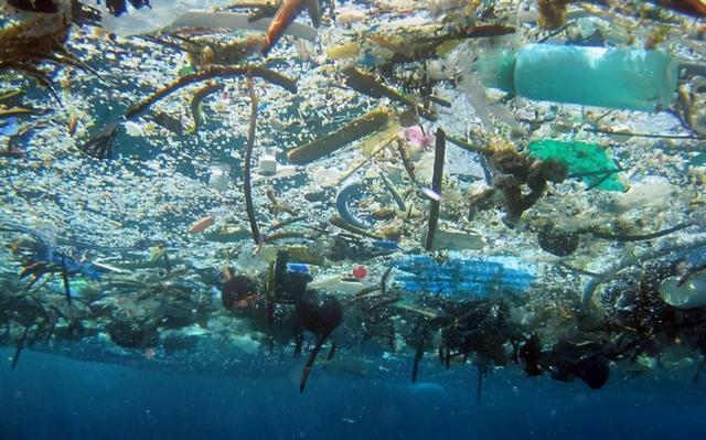 牛胃怎么清洗与处理，牛瘤胃怎么清洗（牛胃液可以分解塑料）