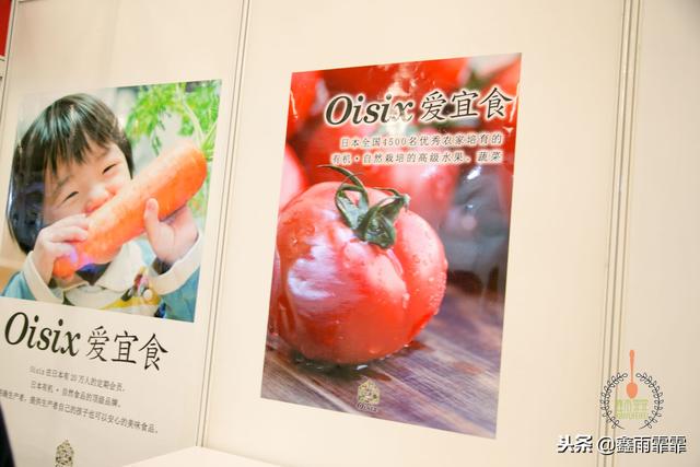 菊苣怎么读是什么意思，菊苣怎么读（这百种水果不要说吃过）