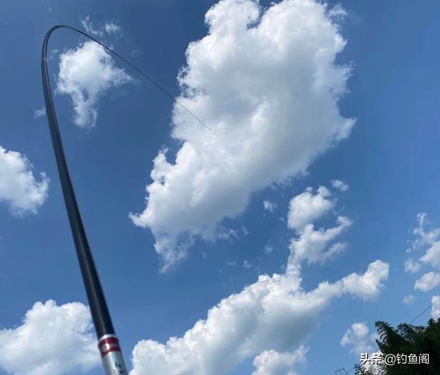 渔具品牌排名，国产鱼竿十大品牌排行榜（找出5大共同点，却忍不住吐槽）