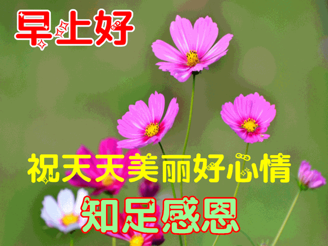 早安最美一句话，早安最美一句话有哪些（清晨最美早安问候祝福语温馨短句）