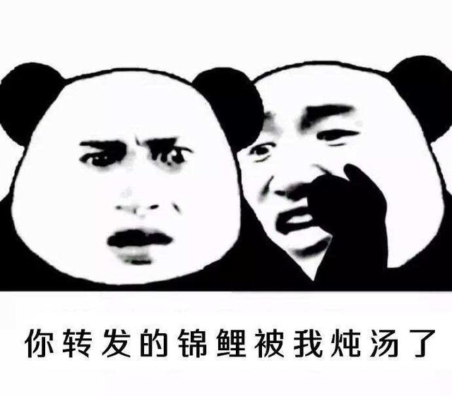 真的能日入千元？“骗人”的星链友店，到底怎么赚钱？
