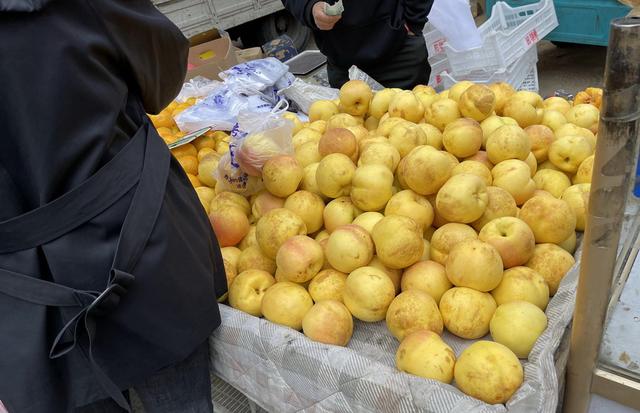 辽宁最穷十大城市排名，辽宁最穷的五个市（本溪、铁岭、阜新谁能在2019翻盘呢）