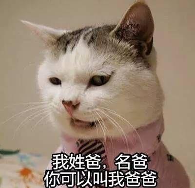 “富婆快乐球”是什么梗，“富婆快乐球”（今天已经见到王阿姨了）
