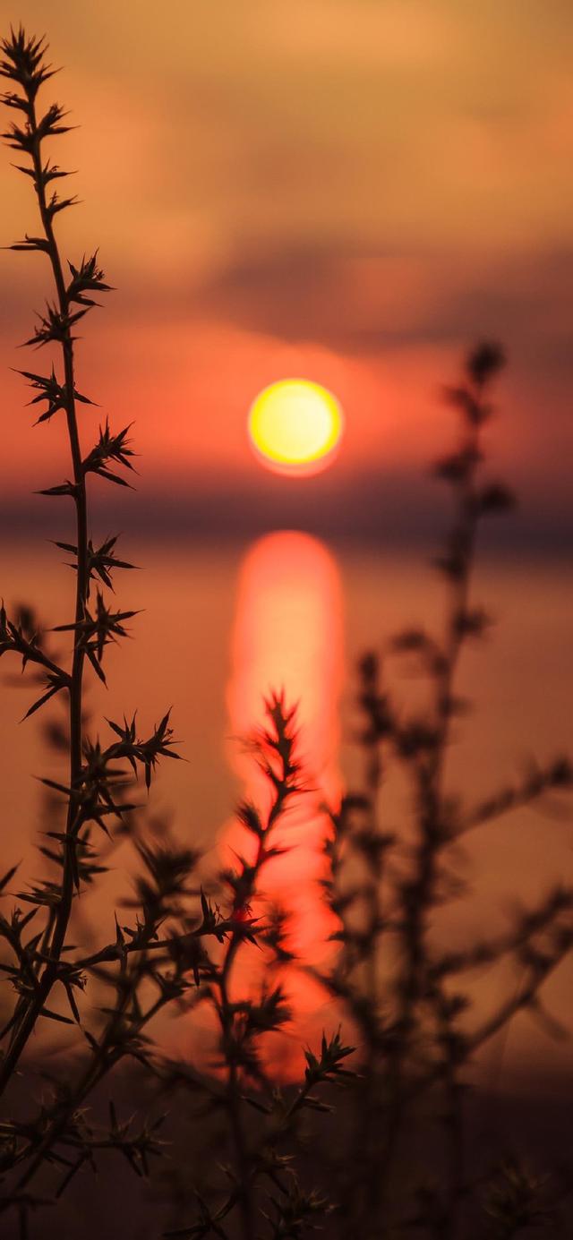 唯美夕阳照射意境图，微信头像，唯美夕阳照射意境图（唯美意境晚霞落日壁纸）