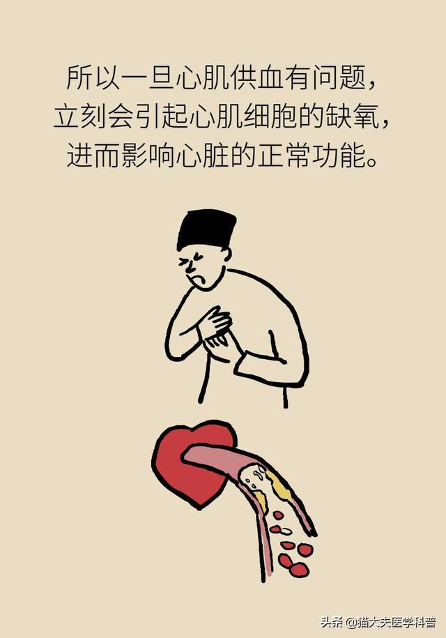 心肌缺血的原因，心脏缺血怎么办怎么补（心肌为什么会缺血）