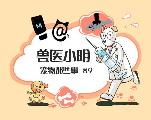 猫咪听不得的四种声音，高音调的声音竟会导致猫咪癫痫