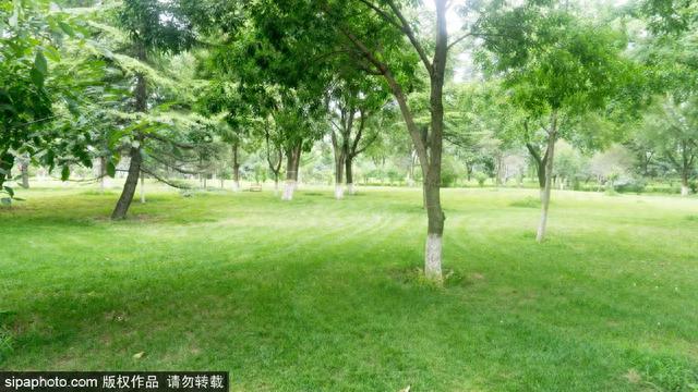 野趣十足的免费公园,还有石榴!周末约起~