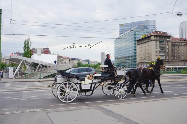 维也纳在哪个国家，维也纳在哪个国家家（实拍奥地利首都维也纳）