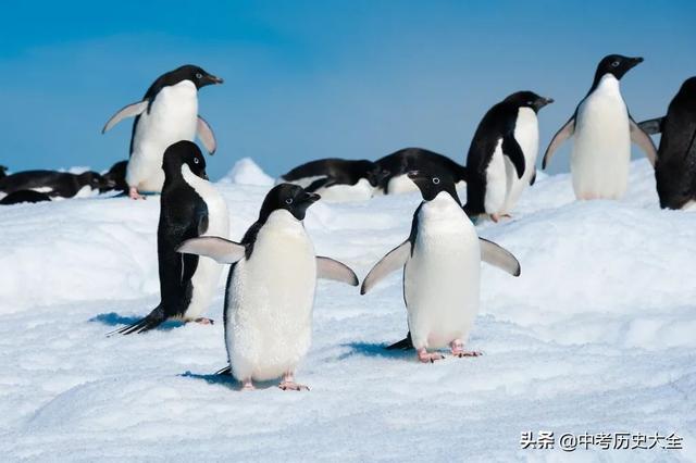 火山最多的国家，世界上最大的火山口位于哪个国家（98条“地理之最”知识点）