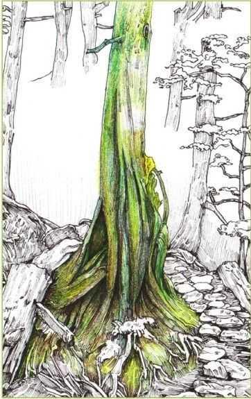 马克笔绘画教程风景画，马克笔绘画教程入门（适合初学者学习的彩铅风景画步骤教程）