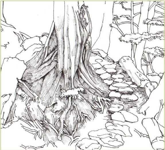 马克笔绘画教程风景画，马克笔绘画教程入门（适合初学者学习的彩铅风景画步骤教程）