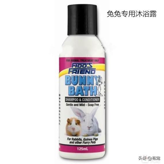 怎么给兔子洗澡，如何给兔子正确洗澡（兔兔洗澡可以直接水洗吗）