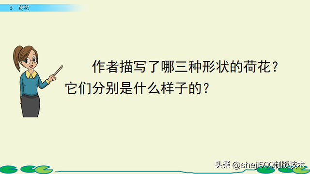 莲蓬的蓬是不是读轻声，莲蓬的蓬为什么读轻声（部编版语文三年级下册第3课《荷花》图文讲解）