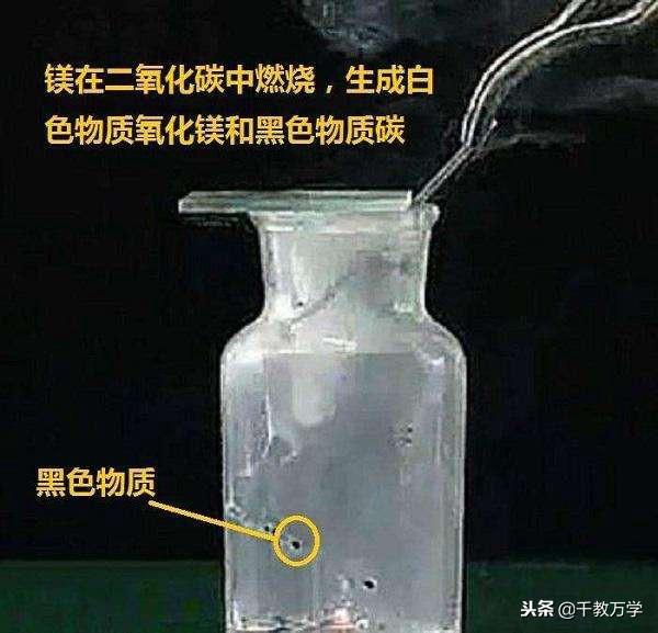 二氧化碳是有机物吗，二氧化碳的物理与化学性质及在生活中应用举例