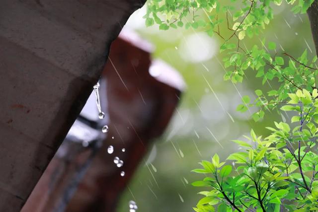  夜雨古诗白居易，白居易夜雨夜行（白居易深夜失眠想念初恋） 
