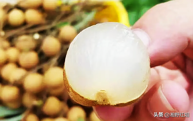 北方立秋吃什么，北方立秋吃什么（今日立秋，南北方在吃这些）