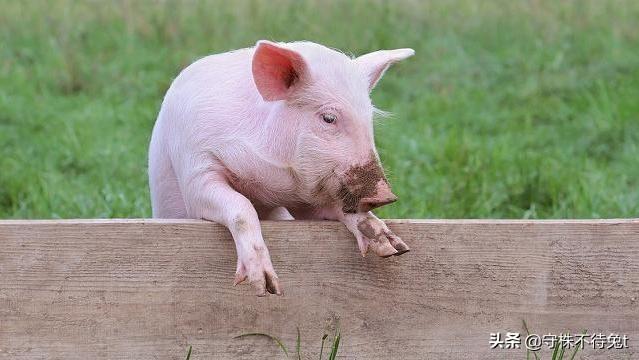 脸皮厚度为多少毫米，大部分人脸皮厚度多少毫米（脸皮的厚度会随着年龄变化）