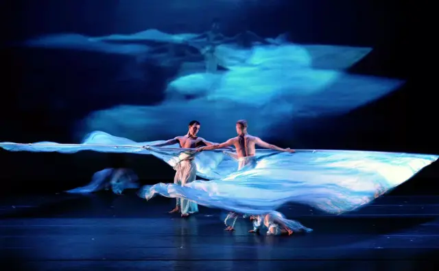 什么是舞蹈鉴赏，什么是舞蹈鉴赏的本质（从手、腿、躯干开始）