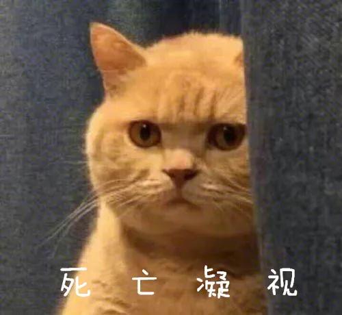 新买的内裤可以直接穿吗，新内裤没洗能垫护垫穿吗（宝宝多大可以穿内裤）