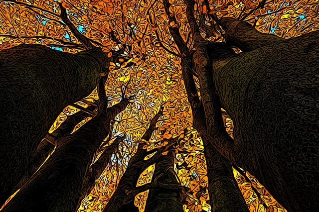 不及是什么意思，过往不及是什么意思（庄子-逍遥游<五>）