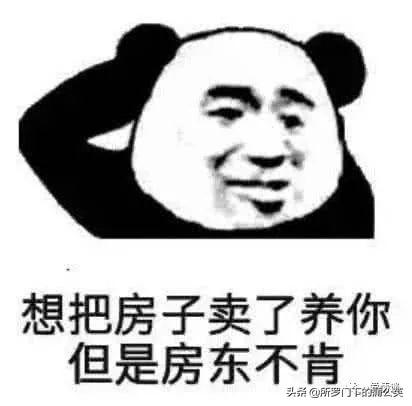 适合撩妹的头像微信，适合撩妹的头像（“撩妹”专属表情包）