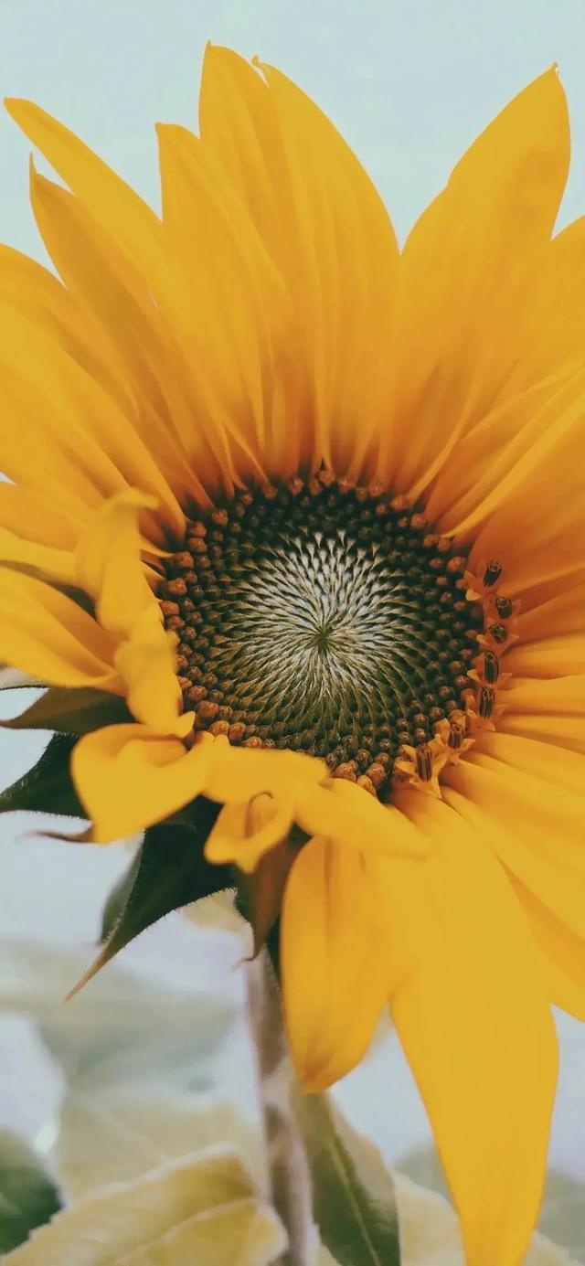 暖色调背景图，暖色调背景图ppt（暖色系高清壁纸更新）