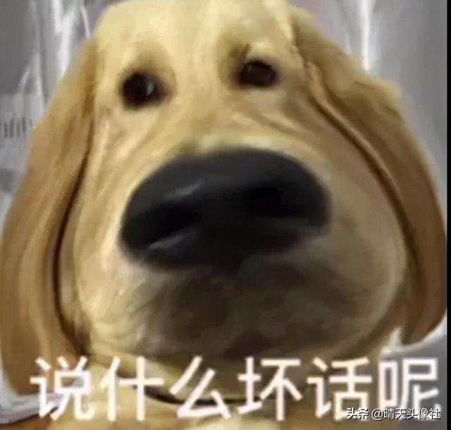 表情包啊啊啊，微信头像，表情包啊啊啊（表情包 ， 女孩就要酷一点）