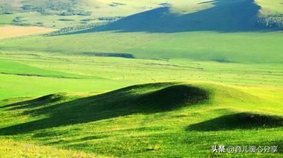 幼儿园教师最美格言，幼儿园教师师德师风总结（幼儿园丨幼师有爱）