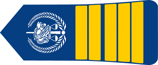 国家乍得怎么读,乍得怎么读(各国军衔标识:乍得)