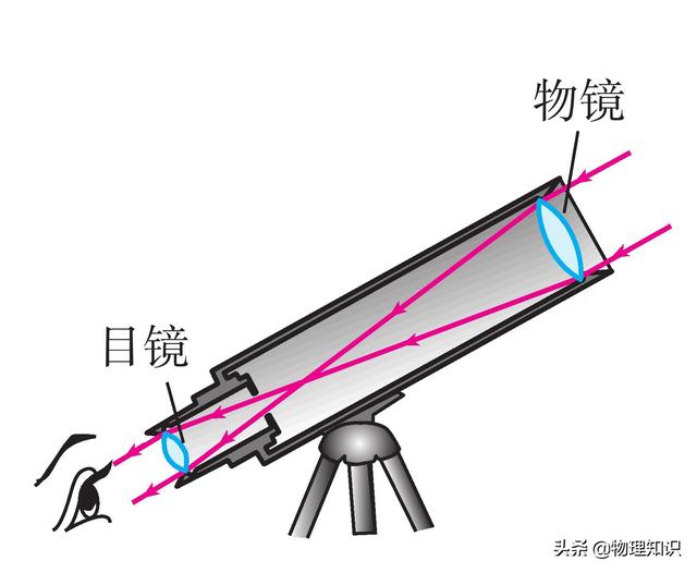 显微镜是怎么组合的，八年级物理上册知识点