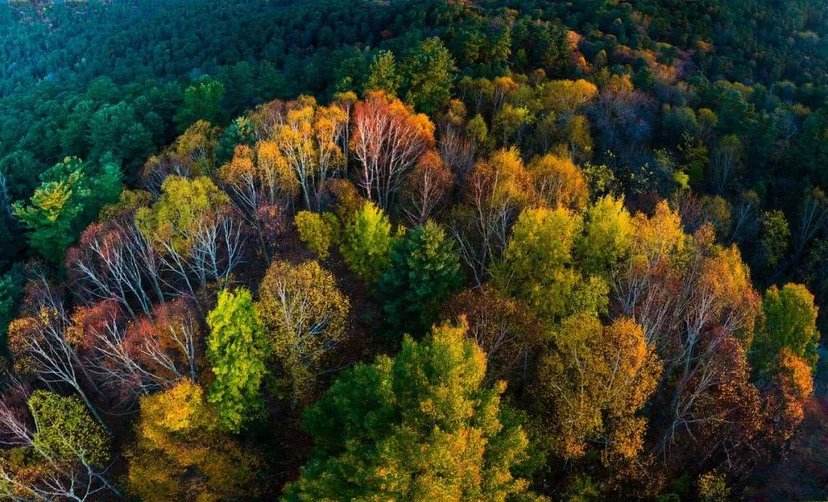 黑龙江专科学校排名（黑龙江和哈尔滨的本专科院校最全名单）