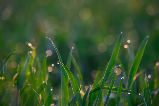 立夏碰蛋的寓意，立夏撞蛋是什么意思（系疰夏绳、斗蛋、称重……立夏的这些习俗）