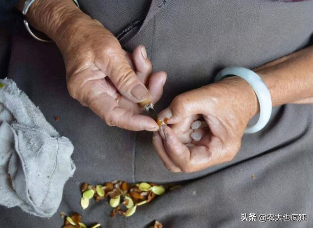 雪莲子的功效与作用，雪莲子的功效与作用及做法（长在十几米高大树上）