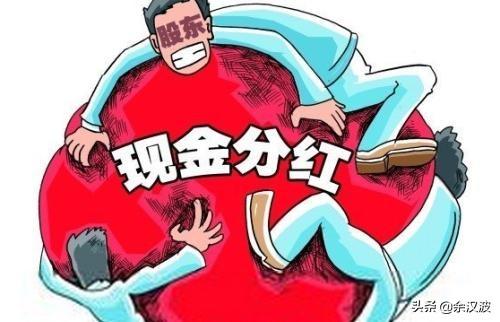 送股和转股有什么区别（五千字长文解读送股转股配股和分红）