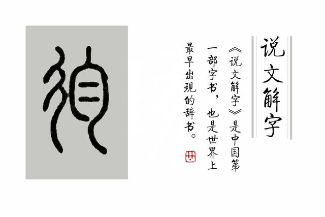 规的笔顺(律的笔顺,规定的规怎么写(《说文解字》第301课)