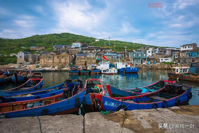 佛手螺是哪儿的特产，佛手螺最多的产地是哪里（浙江宁波渔山岛有个小渔村）