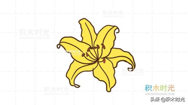 百合花的简笔画，如何画漂亮的简笔百合花（百合花简笔画教程）