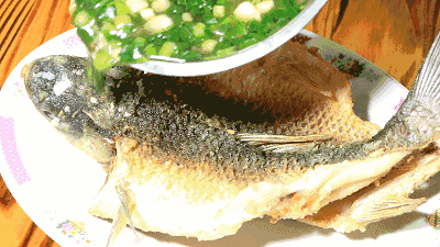 葱烧海参三种家常做法分享，葱烧海参的做法最正宗的做法（国家葱油地理：葱油）