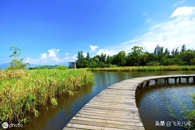 南京景点介绍，南京一日游必去景点推荐（南京九个不得不去的小众景点）
