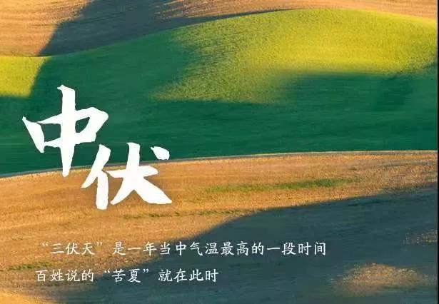 今年的头伏是几月几号,头伏是几月几号2021年(2021年三伏天入伏出伏