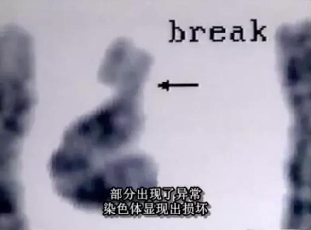 日本东海村核临界事故，日本东海村核临界事故百科（核辐射惨烈堪比十八层地狱）