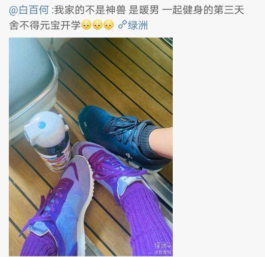 白百合的儿子几岁了，白百合陈羽凡离婚（13岁大儿子让她“别减肥”）